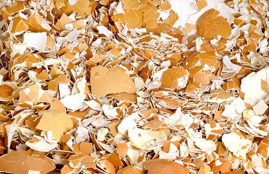 Skorupki Jajek: Ekologiczny Surowiec w Twoim Domu i Ogrodzie